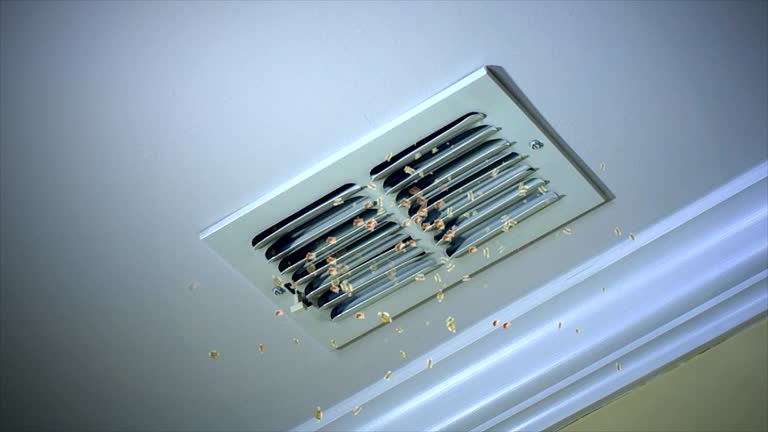 Best HVAC System Cleaning  in Sheldon, TX