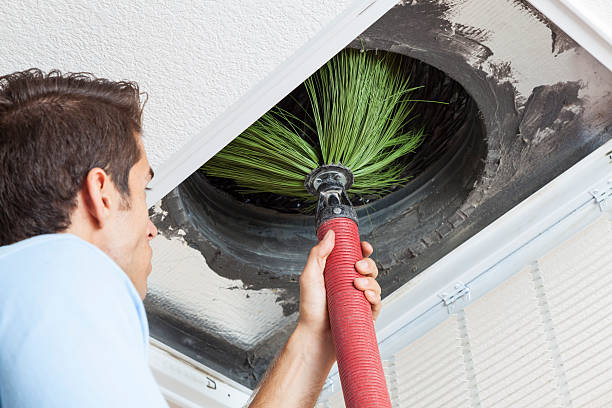 Best Affordable Duct Cleaning Services  in Sheldon, TX