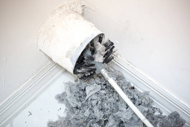 Best Ductwork Cleaning Services  in Sheldon, TX